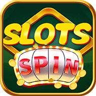 SLOTS SPIM